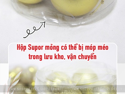 Hộp trụ 24 trái châu Noel 3 kiểu cùng cỡ ĐK từ 3-8cm TRAICHAU-26